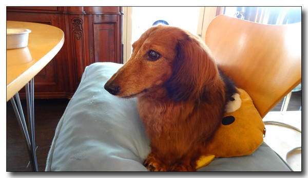 20140924174354.JPG