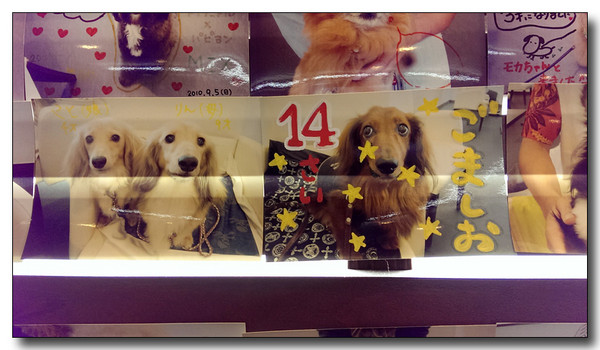 20140925094311.jpg