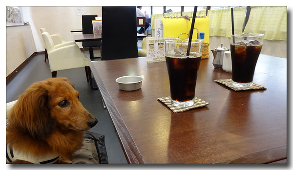 20140925094313.JPG