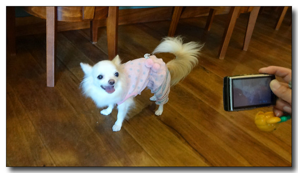 20140925215547.JPG