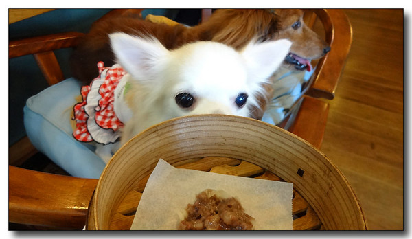 20140925215620.JPG