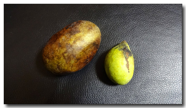 20141027091707.JPG