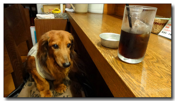 20141027094532.JPG