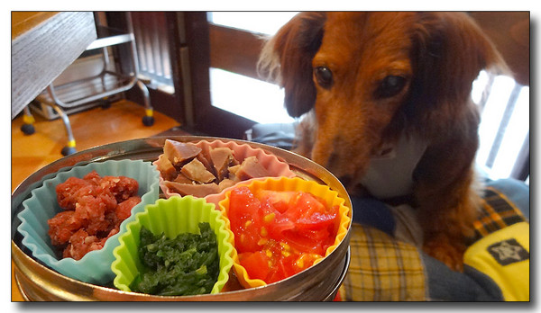 20140928072309.JPG