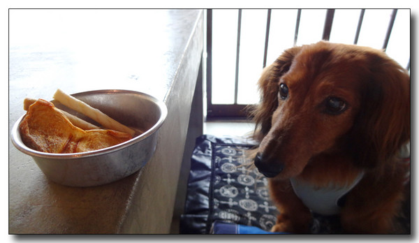 20140928072559.JPG