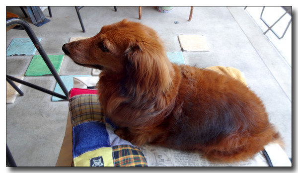 20140928080445.JPG