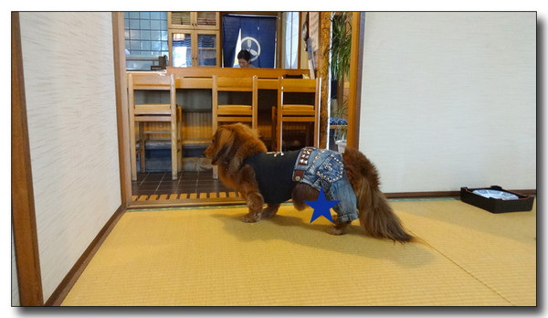 20141002151440.JPG