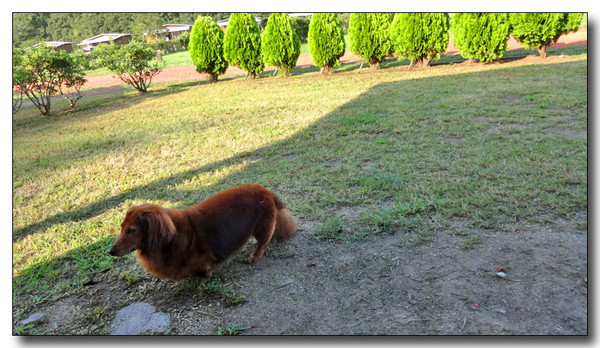 20141006073354.JPG