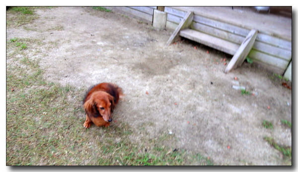 20141006080457.JPG
