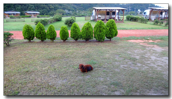 20141006081007.JPG