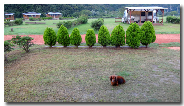 20141006081008.JPG
