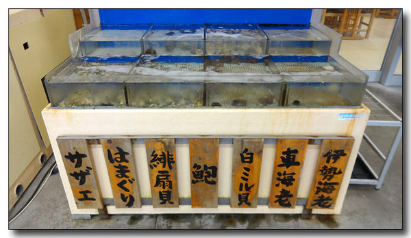 20141008075037.JPG