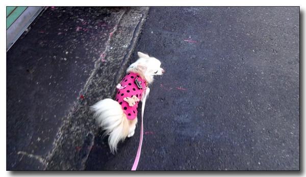 20141022064857.JPG