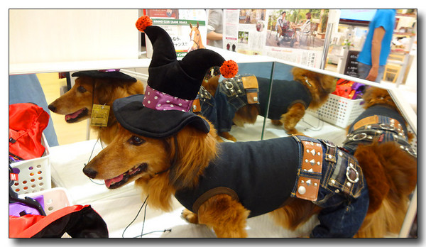 20141022131037.JPG