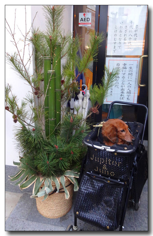 20150123214117.JPG