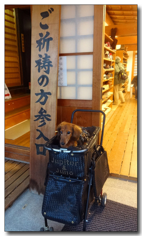 20150123214118.JPG