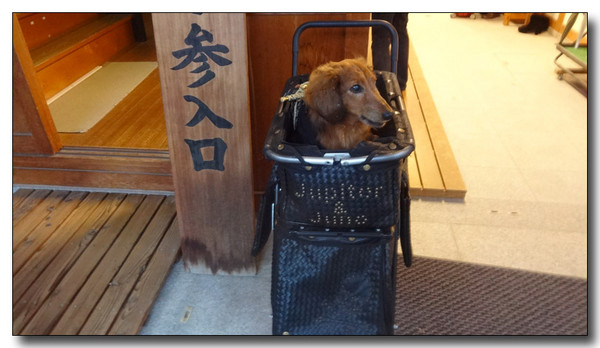 20150123214128.JPG