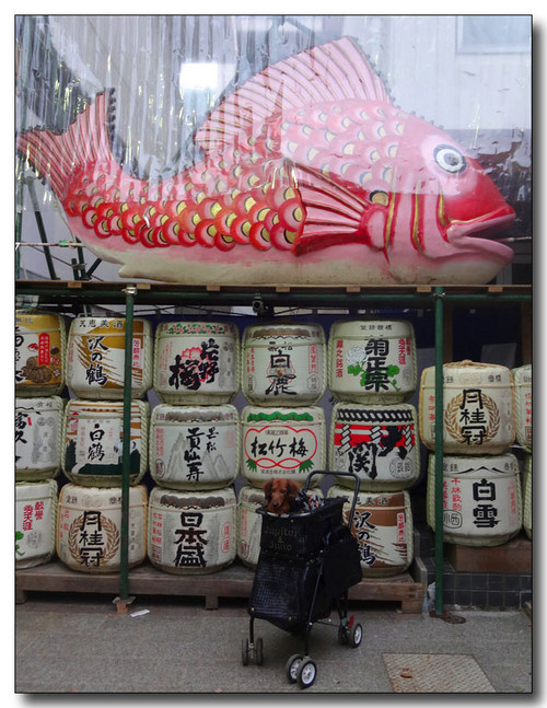20150123214138.JPG