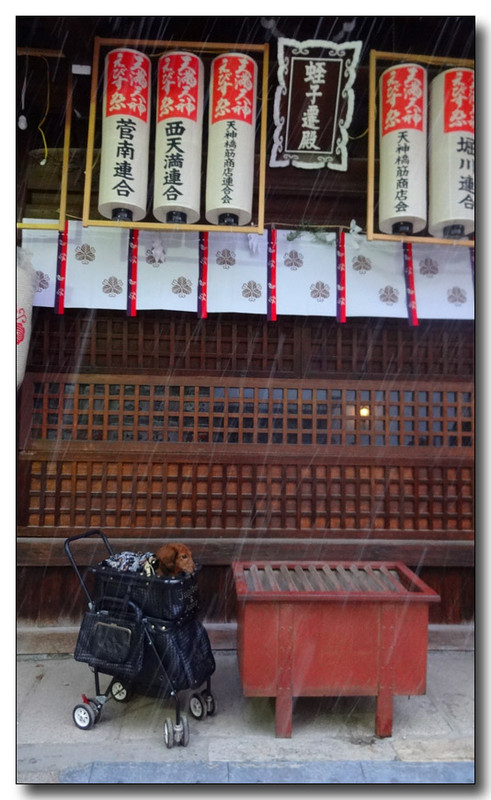 20150123214156.JPG