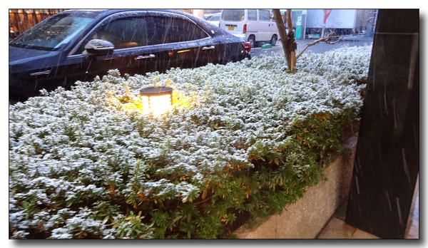 20150123214252.JPG