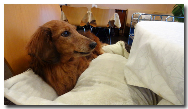 20150130162848.JPG