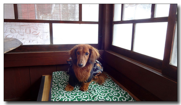 20150201041923.JPG