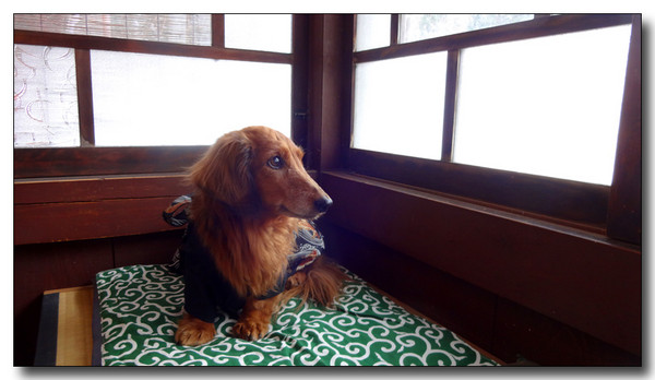 20150201042110.JPG