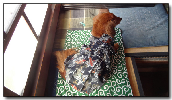 20150201042141.JPG