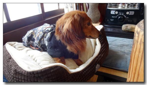 20150201042154.JPG