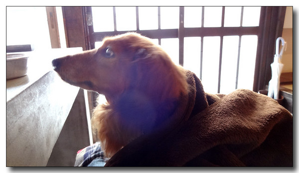 20150203081008.JPG