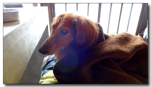 20150203081009.JPG