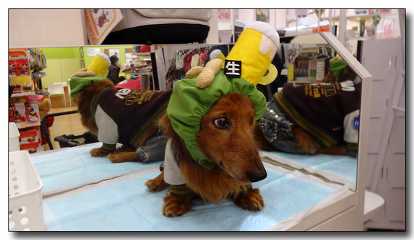 20150203082652.JPG