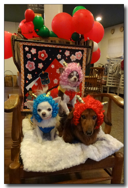 20150204174858.JPG