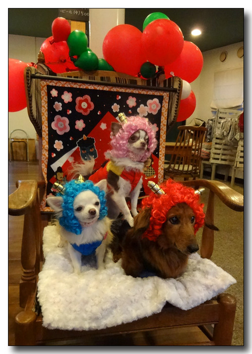 20150204174900.JPG