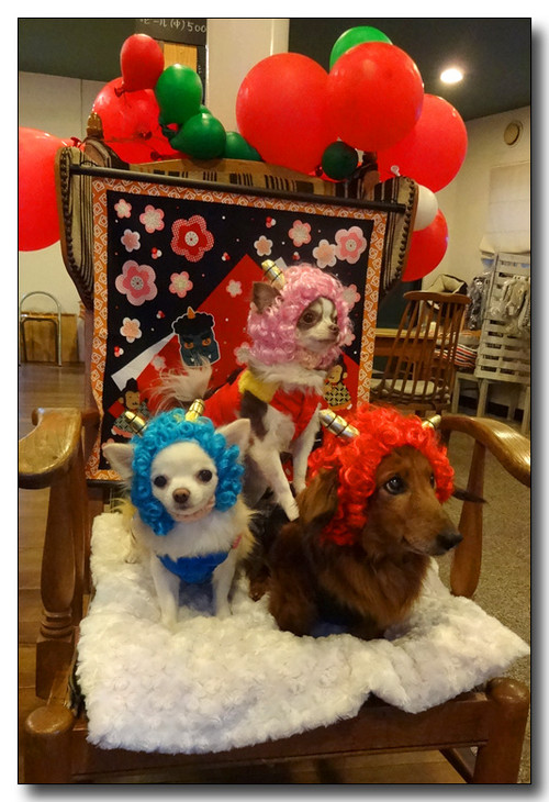 20150204174901.JPG