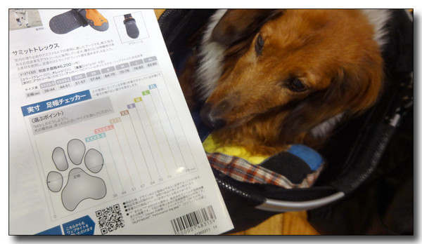 20150205175215.JPG