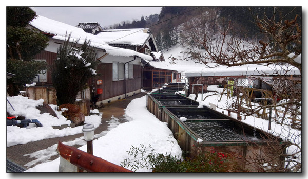 20150302005942.JPG