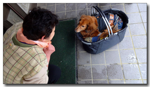 20150302005944.JPG