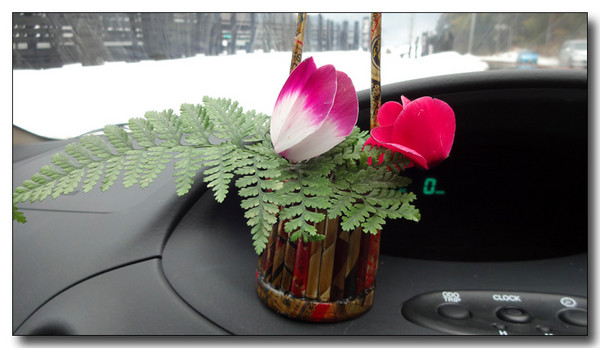 20150302005946.JPG