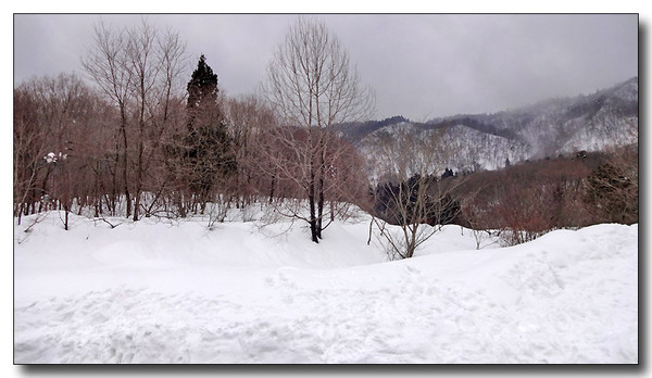 20150302162314.JPG