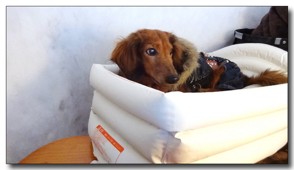 20150302162941.JPG