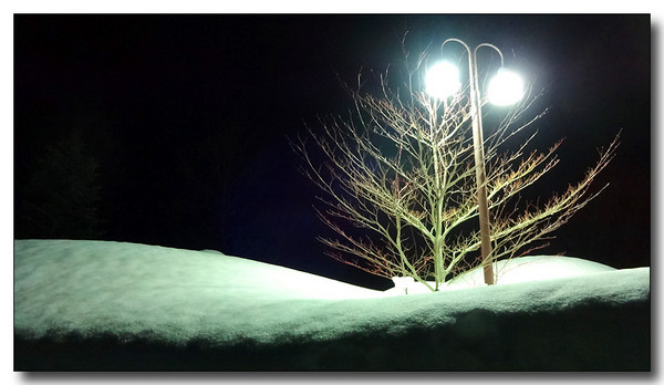 20150302163146.JPG