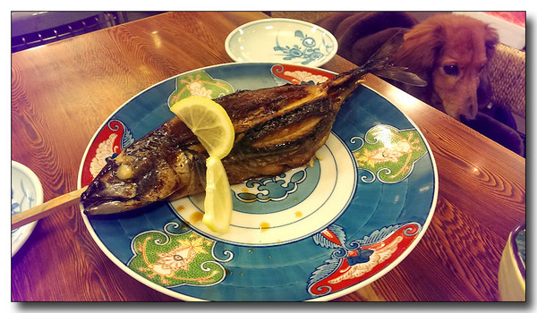 20150305081023.jpg