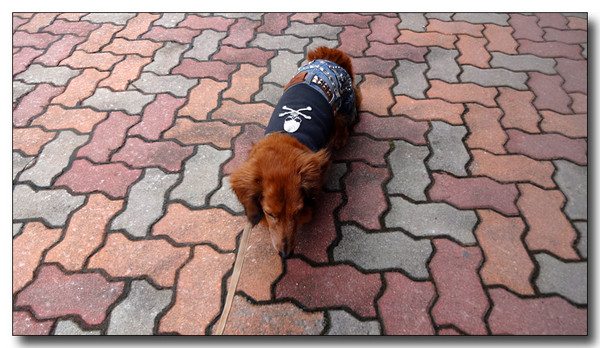 20150305150614.JPG