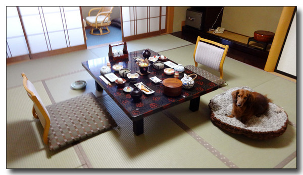 20150308182848.JPG