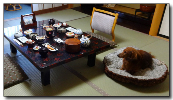 20150308182849.JPG