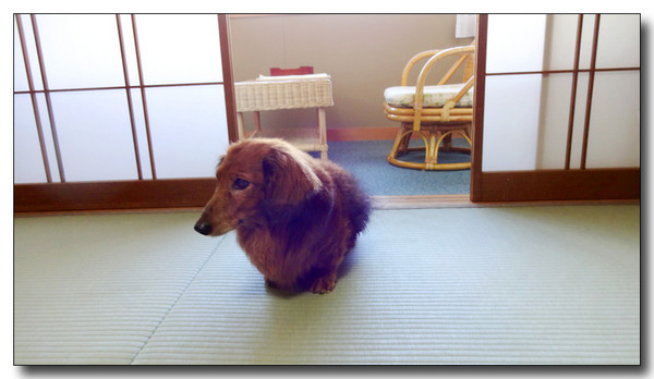 20150308182937.JPG