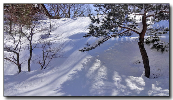 20150310234627.JPG 20150310234627.JPG