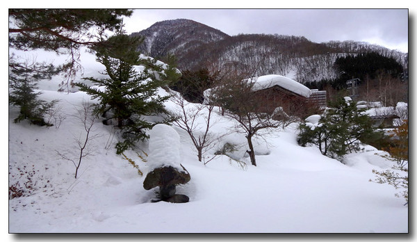 20150311105347.JPG