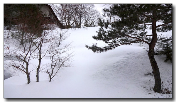 20150311105348.JPG